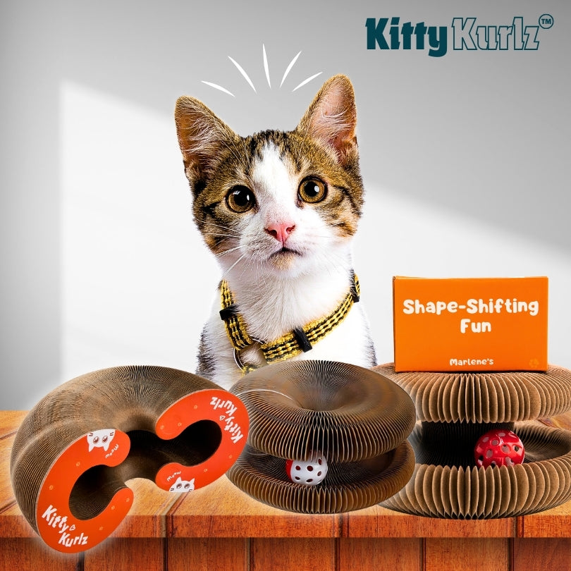 https://cdn.shopify.com/s/files/1/0592/0194/5677/files/KittyWheelzMarlenesPetShop2.jpg?v=1750919198